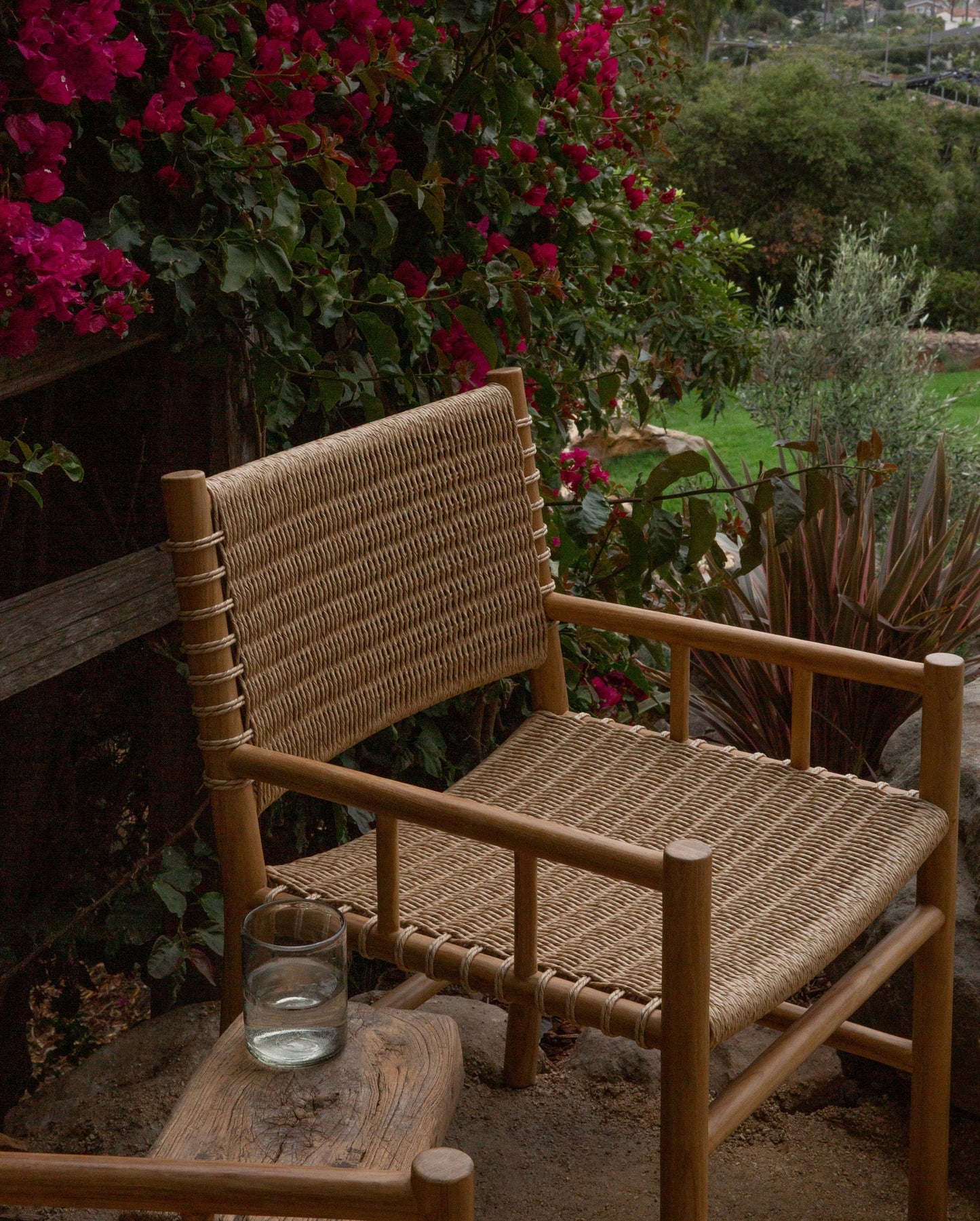 Ema Dining Chair with Arm