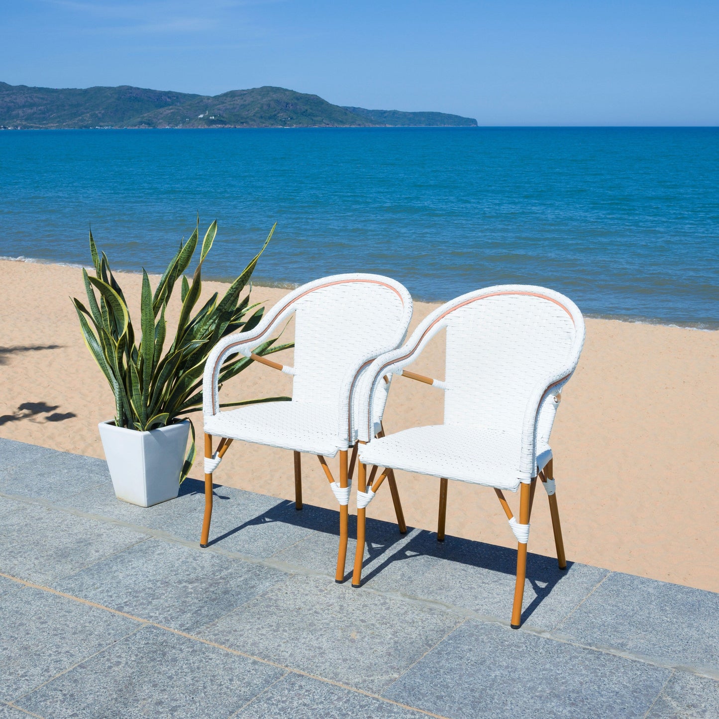 SAFAVIEH Doreth Arm Chair (Set of 2) - 23Wx36Dx25H