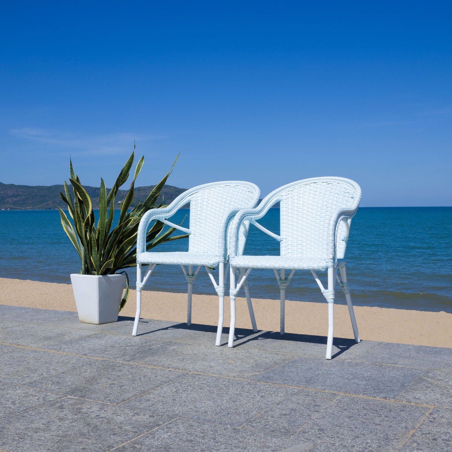 SAFAVIEH Doreth Arm Chair (Set of 2) - 23Wx36Dx25H